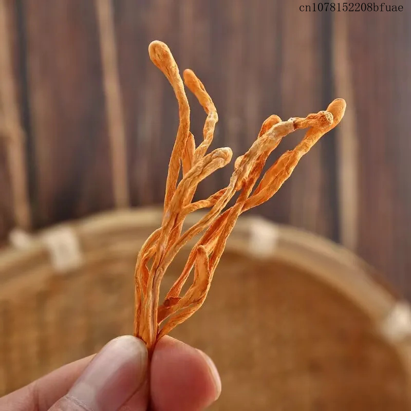 Flores de Cordyceps Secas de 2 - Dried Herbs reseña y precio