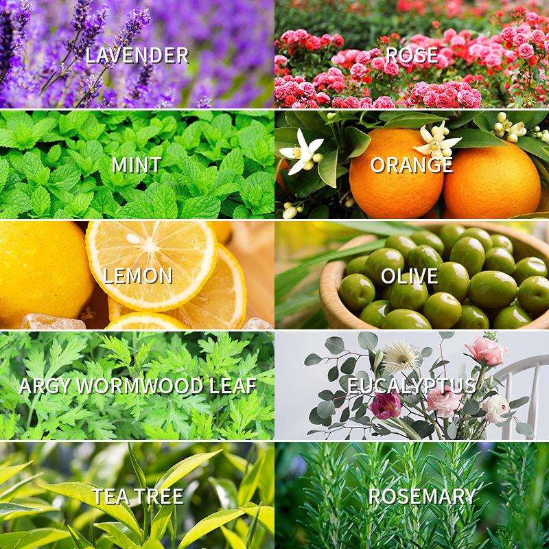 Aceite esencial de aromaterapi - Lavender Oil reseña y precio